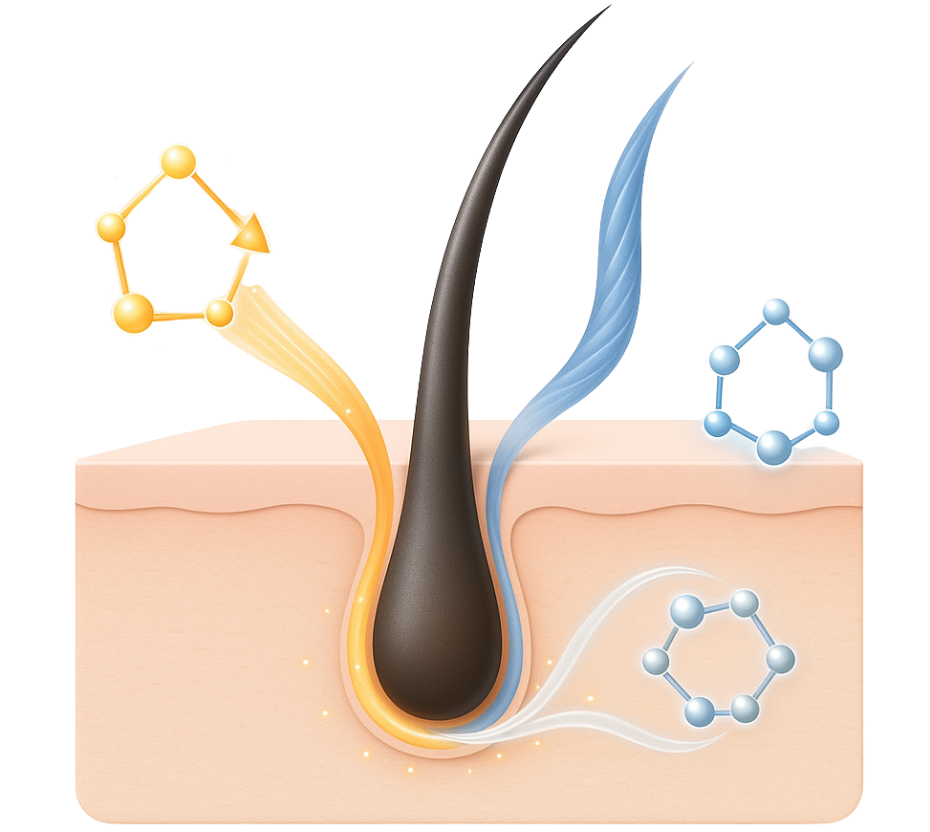 saç vitamini içeriği